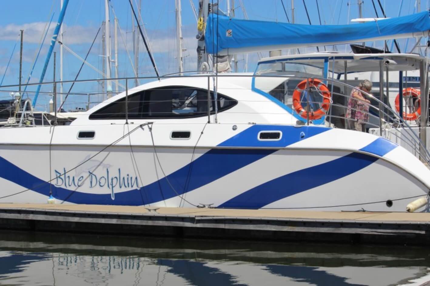An image of the blue dolphin small catamaran