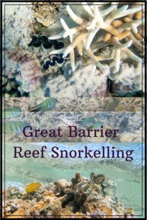 The best Great Barrier Reef tour which gives you fantastic snorkelling and the opportunity to stay over night on a pontoon in the middle of the Reef. Find out all about it this adventure.