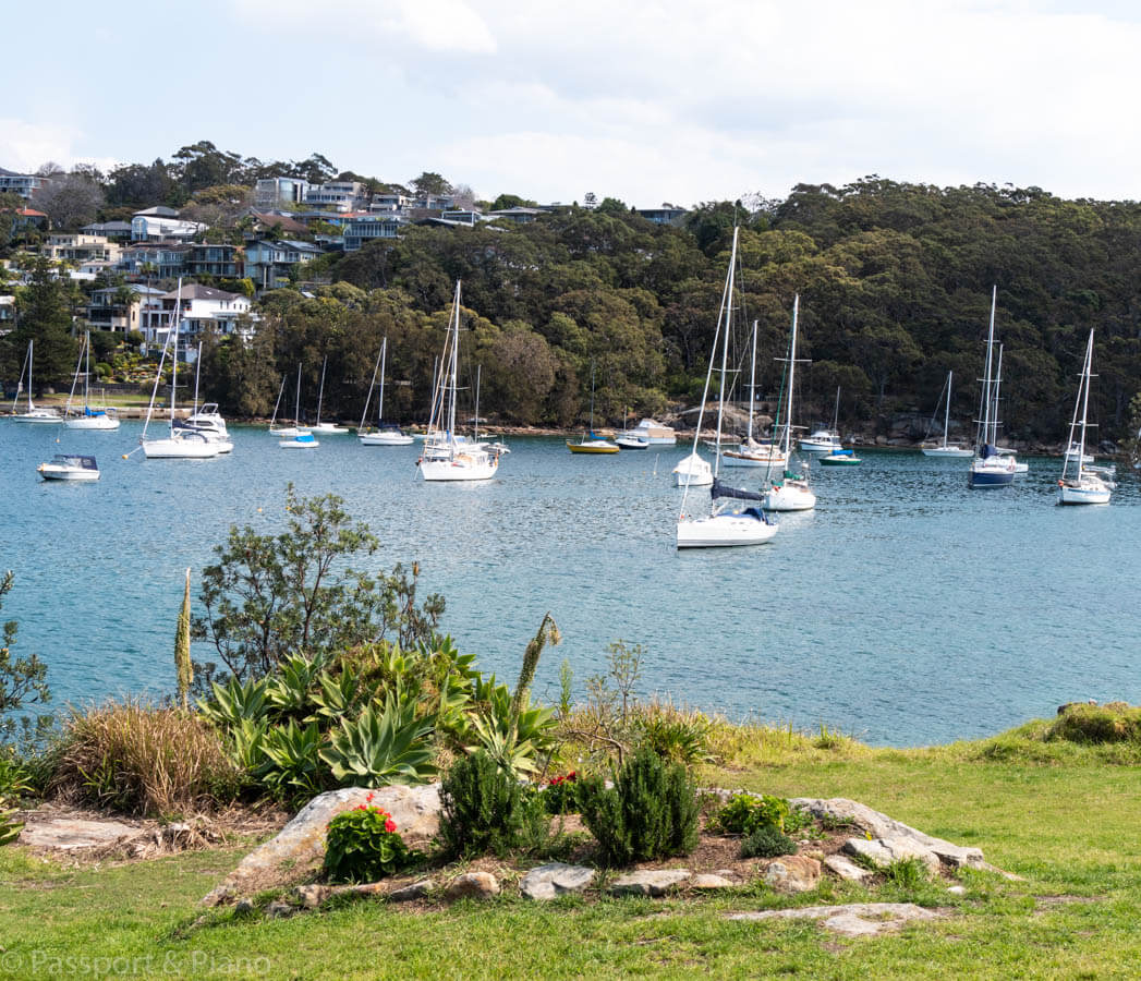 An image of North Harbour Reserve