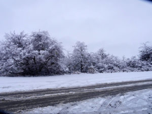 An image of the road conditions in El Calafate during winter snow