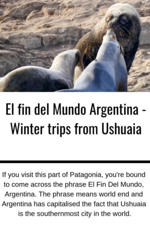 An image of a mother seal giving her baby a kiss and a snippet from the post El fin del Mundo, Argentina.