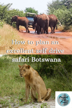 African Safari holidays for many are a bucket list dream, but make yours a reality. Click on the pin to find out everything you need to know to plan your African Safari.# self drive​ safari #Botswana #African Safari #Okavango Delta # Moremi Game Reserve #Chobe National Park