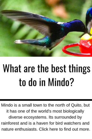 An image of a hummingbird flying and a snippet from the post What are the best things to do in Mindo.