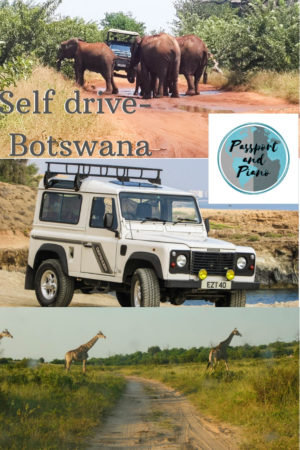 An image of a pin to share to Pinterest with a picture of a jeep, giraffes and elephants blocking the road on a self drive safari Botswana