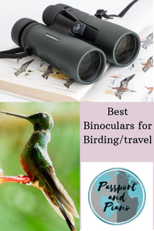 Image of a pin for pinterest with a hummingbird and a pair of best binoculars for birding.