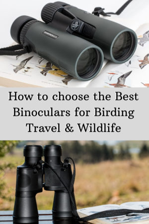 An image of a pin for pinterest that has two pairs of binoculars on it and says how to choose the best binoculars for birding, travel and wildlife.