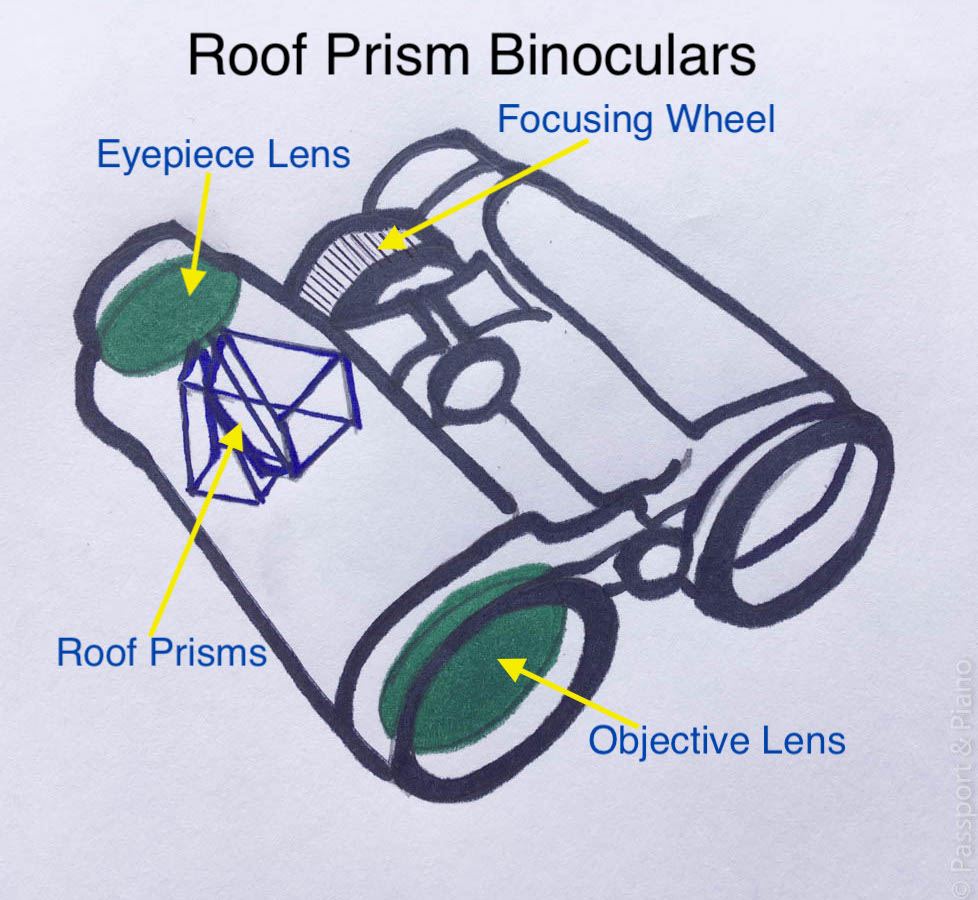 An image of a diagram of Roof Prism binoculars with the main parts labelled.