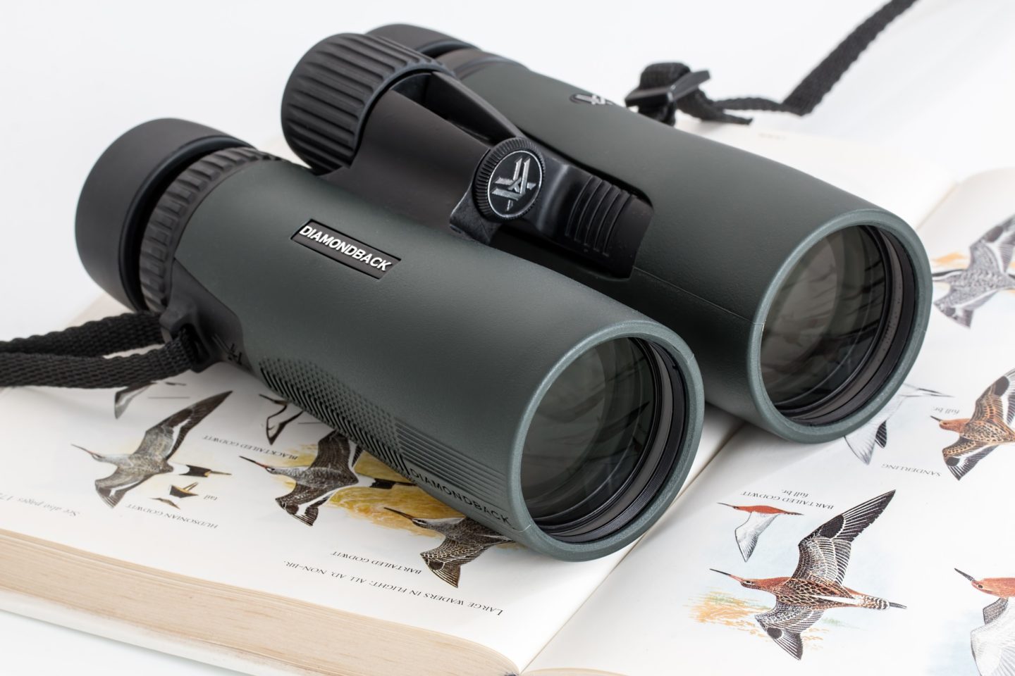 An image of binoculars on top of a bird guide