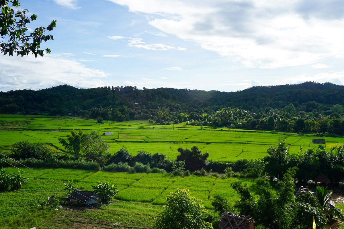 An image of green fields in Pai
