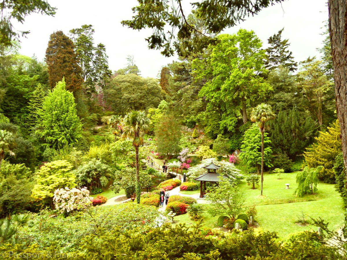 An image of the Japanese Garden at Powerscourt House and Gardens.