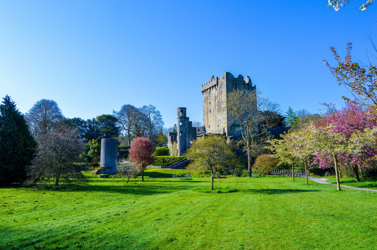An image of Blarney Castle in Ireland