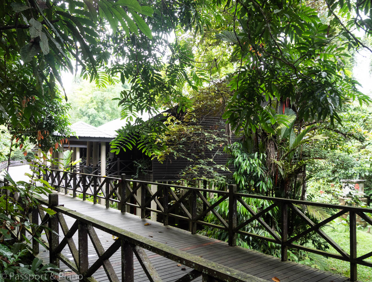 An image of the tropical rainforest and one of the buildings at the Marriott Resort Miri