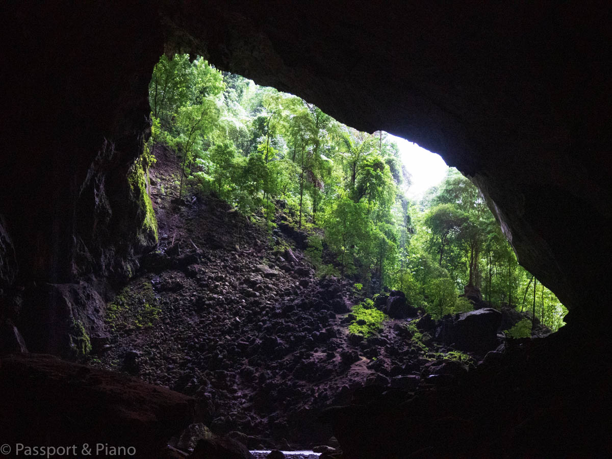 An image of the Garden of Eden at the Mulu Caves Sarawak