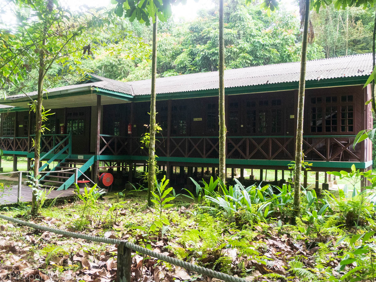 An image of the Long House accommodation at Mulu