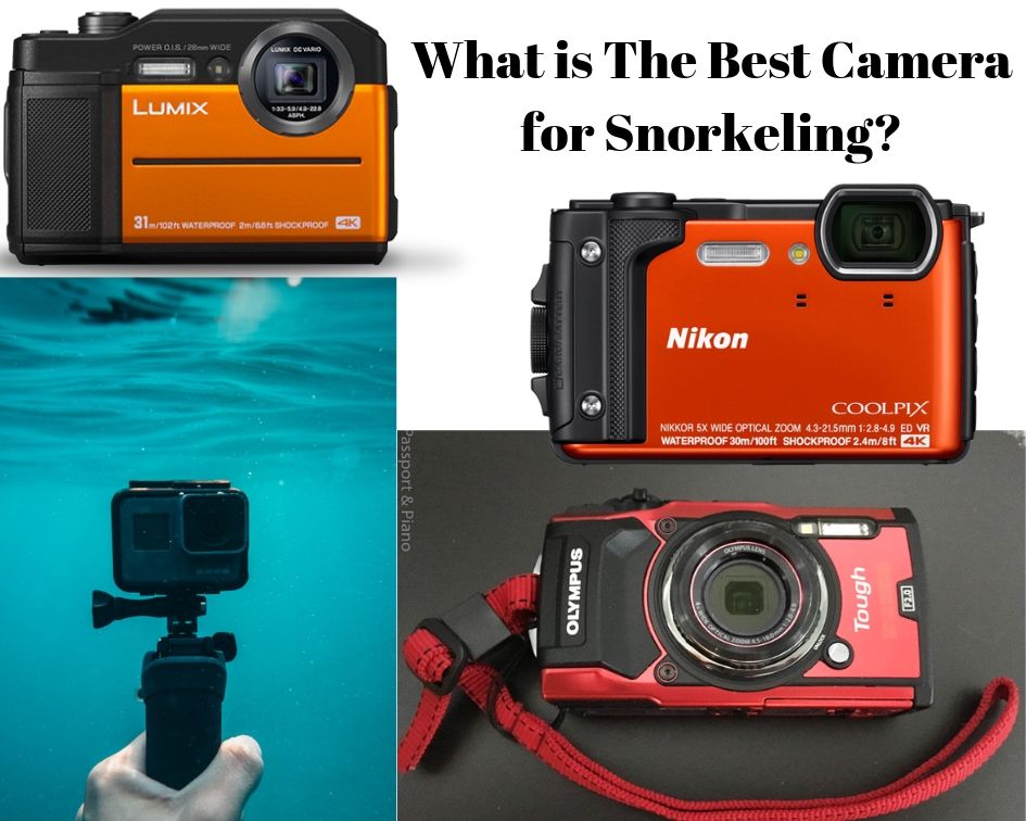 An image of several cameras with the title, what is the best camera for snorkeling