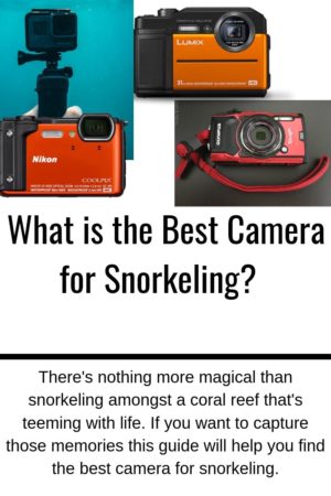 An image of four underwater cameras and a post snippet entitled What is the Best Camera for Snorkeling