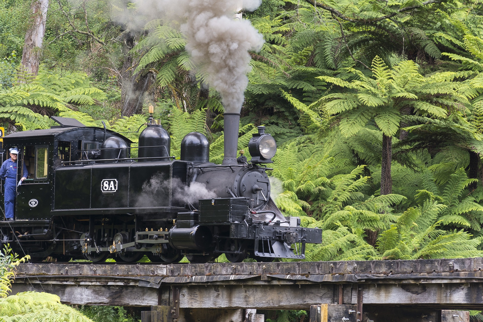 An image of the Puffing Billy Steam Engine
