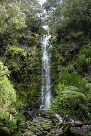 An image of Erskine Falls a great place to stop on a Great Ocean tour itinerary
