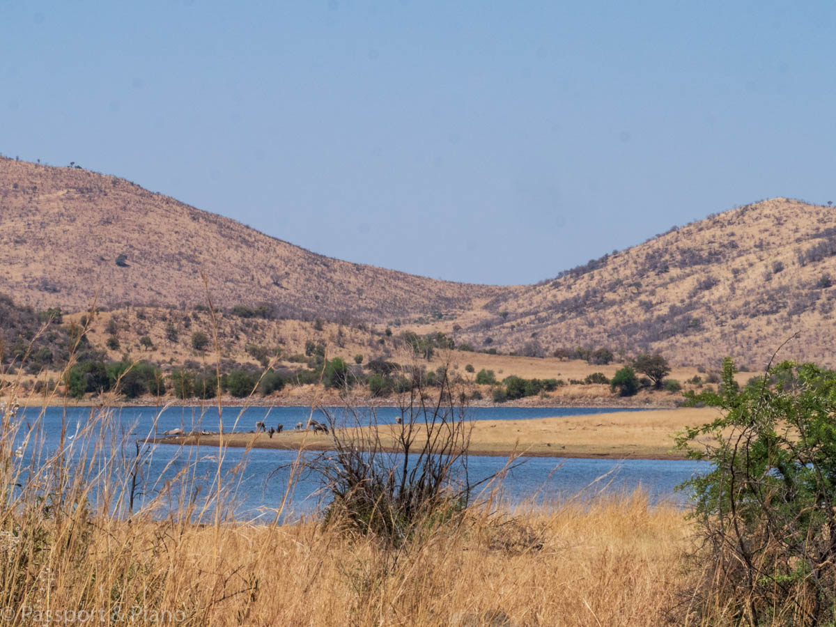 An image of the Mankwe Dam