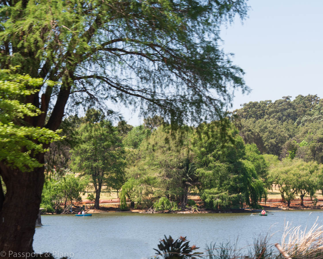 An image of Zoo Lake Johannesburg