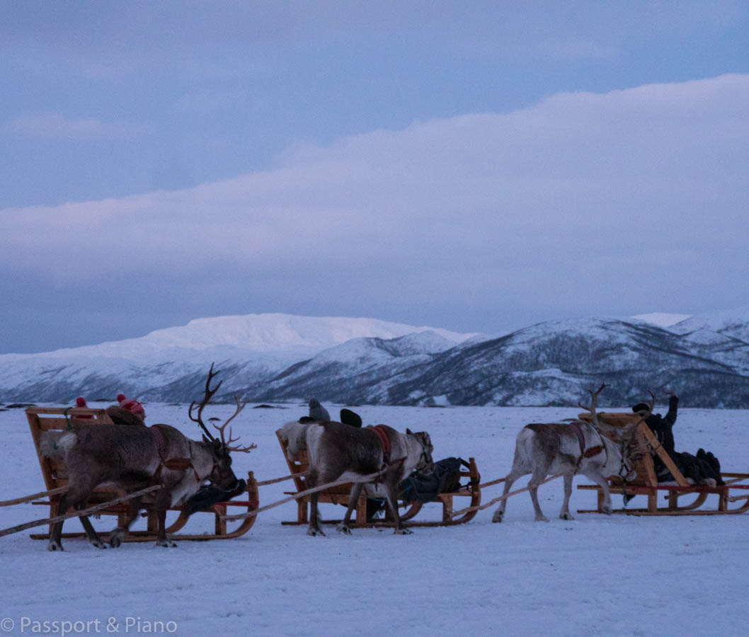An image of sami lapland reindeer experience