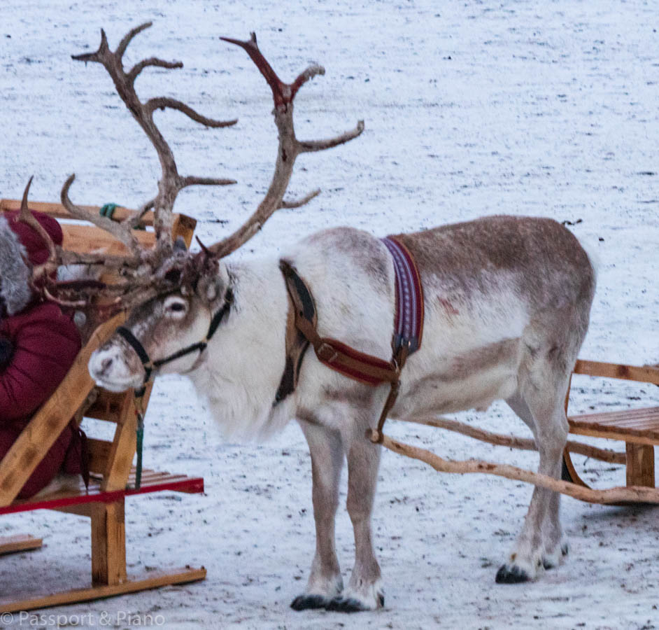 An image of a reindeer and sleigh