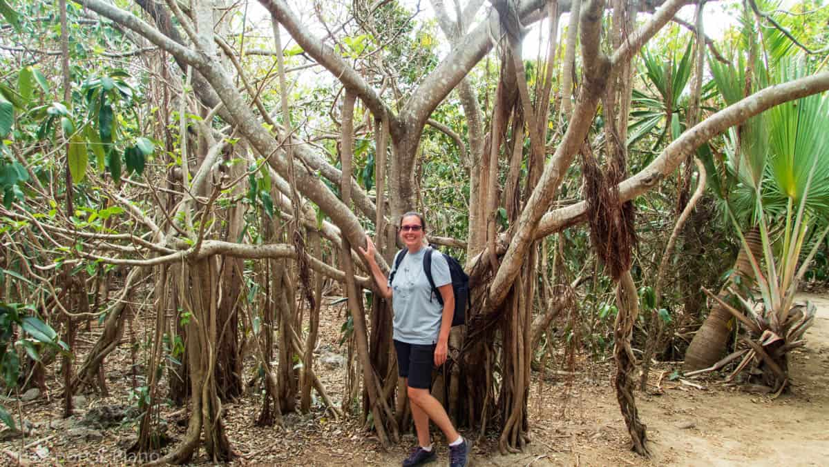 An image of Fiona from Passport and Piano with mangrove trees on Île Aux Aigrettes