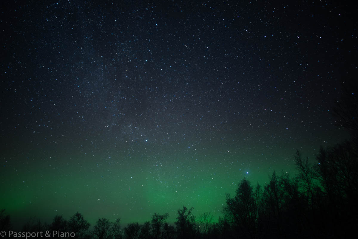 An image of the tree tops with the green glow of the Northern Lights above them and a starry night sky
