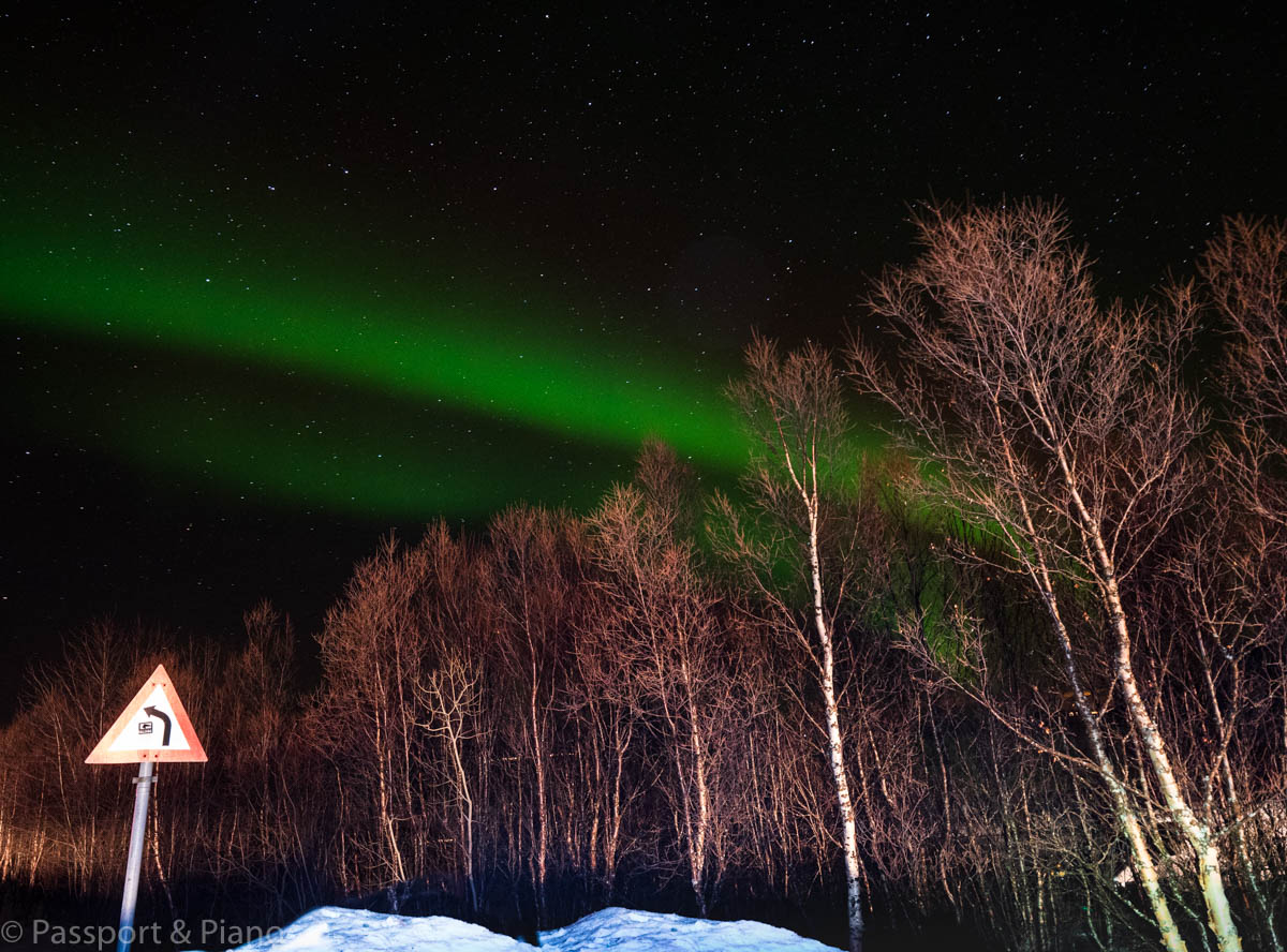 An image of the forest and a road sign with two aurora lights above on the coastal road to Tønsvik, Norway